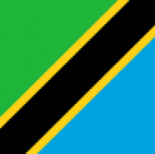 United Republic of Tanzania flag